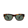 Gucci GG1706S Sunglasses 002 havana - product thumbnail 1/4