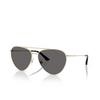 Jimmy Choo JC4002B Sunglasses 301787 pale gold - product thumbnail 2/4