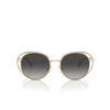 Lunettes de soleil Jimmy Choo JC4003HB 30068G pale gold - Vignette du produit 1/4