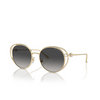 Jimmy Choo JC4003HB Sunglasses 30068G pale gold - product thumbnail 2/4