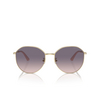 Jimmy Choo JC4007BD Sunglasses 300636 pale gold - product thumbnail 1/4