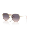 Jimmy Choo JC4007BD Sunglasses 300636 pale gold - product thumbnail 2/4