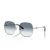 Jimmy Choo JC4008HD Sunglasses 300219 silver - product thumbnail 2/4