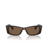 Jimmy Choo JC5002BU Sunglasses 500273 havana - product thumbnail 1/4