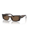 Lunettes de soleil Jimmy Choo JC5002BU 500273 havana - Vignette du produit 2/4