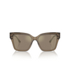 Lunettes de soleil Jimmy Choo JC5003 50405A transparent brown glitter - Vignette du produit 1/4