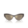 Gafas de sol Jimmy Choo JC5004 50465A sand gradient glitter - Miniatura del producto 1/4