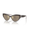 Jimmy Choo JC5004 Sunglasses 50465A sand gradient glitter - product thumbnail 2/4