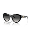 Lunettes de soleil Jimmy Choo JC5007 50008G black - Vignette du produit 2/4