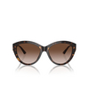 Jimmy Choo JC5007 Sunglasses 500213 havana - product thumbnail 1/3