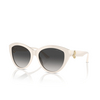 Jimmy Choo JC5007 Sunglasses 50088G white - product thumbnail 2/3