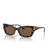 Jimmy Choo JC5011U Sunglasses 500273 havana - product thumbnail 2/4