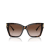 Occhiali da sole Jimmy Choo JC5012 500213 havana - anteprima prodotto 1/4