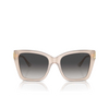 Lunettes de soleil Jimmy Choo JC5012 50258G opal sand - Vignette du produit 1/4