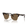 Gafas de sol Jimmy Choo JC5014 500273 havana / pale gold - Miniatura del producto 2/4