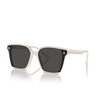 Jimmy Choo JC5016D Sunglasses 500887 white - product thumbnail 2/4