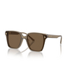 Lunettes de soleil Jimmy Choo JC5016D 505173 transparent brown - Vignette du produit 2/4