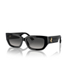 Jimmy Choo JC5017 Sonnenbrillen 50008G black - Produkt-Miniaturansicht 2/4