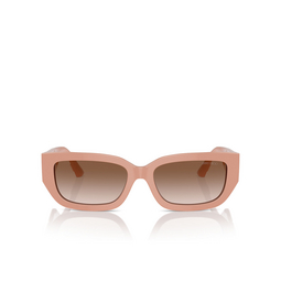 Jimmy Choo JC5017 Sunglasses 503213 pink