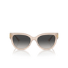 Occhiali da sole Jimmy Choo JC5018U 50258G opal sand - anteprima prodotto 1/4