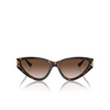 Jimmy Choo JC5019 Sonnenbrillen 500213 havana - Produkt-Miniaturansicht 1/4