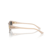 Occhiali da sole Jimmy Choo JC5019 50258G opal sand - anteprima prodotto 3/4