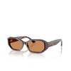 Jimmy Choo JC5021BU Sunglasses 500273 havana / silver shade - product thumbnail 2/4