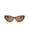 Jimmy Choo JC5022B Sonnenbrillen 500273 havana - Produkt-Miniaturansicht 1/4