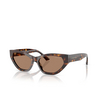 Jimmy Choo JC5022B Sonnenbrillen 500273 havana - Produkt-Miniaturansicht 2/4