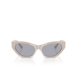 Jimmy Choo JC5022B Sunglasses 503380 ash