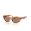 Lunettes de soleil Jimmy Choo JC5022B 505573 striped havana glitter brown - Vignette du produit 2/4