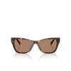 Lunettes de soleil Jimmy Choo JC5024HU 500273 havana - Vignette du produit 1/4