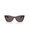 Lunettes de soleil Jimmy Choo JC5024HU 505787 red - Vignette du produit 1/4