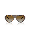 Jimmy Choo JC5027 Sunglasses 5002T5 havana - product thumbnail 1/4