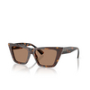 Jimmy Choo JC5028 Sunglasses 500273 havana - product thumbnail 2/4