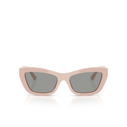 Jimmy Choo JC5030U Sunglasses 501487 pink