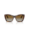 Jimmy Choo JC5031 Sunglasses 5002T5 havana - product thumbnail 1/4