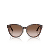 Jimmy Choo JC5032D Sunglasses 50028G havana - product thumbnail 1/4