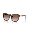 Jimmy Choo JC5032D Sunglasses 50028G havana - product thumbnail 2/4