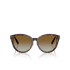 Occhiali da sole Jimmy Choo JC5032D 5002T5 havana - anteprima prodotto 1/4