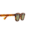 Lunettes de soleil Julius Tart Optical AR SUN LIGHT TORTOISE/GREEN - Vignette du produit 3/4