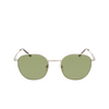 Lacoste L251S Sunglasses 040 semimatte silver - product thumbnail 1/4