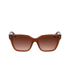 Lacoste L6022S Sonnenbrillen 210 brown - Produkt-Miniaturansicht 1/4