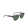 Lacoste L6026S Sunglasses 035 transparent grey - product thumbnail 2/4