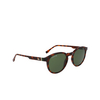 Lunettes de soleil Lacoste L6030S 214 havana - Vignette du produit 2/4