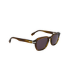 Lacoste L6046S Sunglasses 275 striped khaki - product thumbnail 2/4