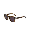 Lacoste L6046S Sunglasses 275 striped khaki - product thumbnail 3/4