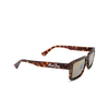 Lunettes de soleil Maui Jim KAHIKO 002 havana - Vignette du produit 2/4