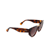 Lunettes de soleil Max Mara BRIDGE1 52F dark havana - Vignette du produit 2/3