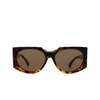 Max Mara MM0123 Sunglasses 56J havana / gradient - product thumbnail 1/3